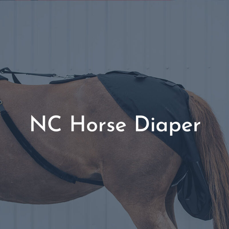 NC Horse Diaper