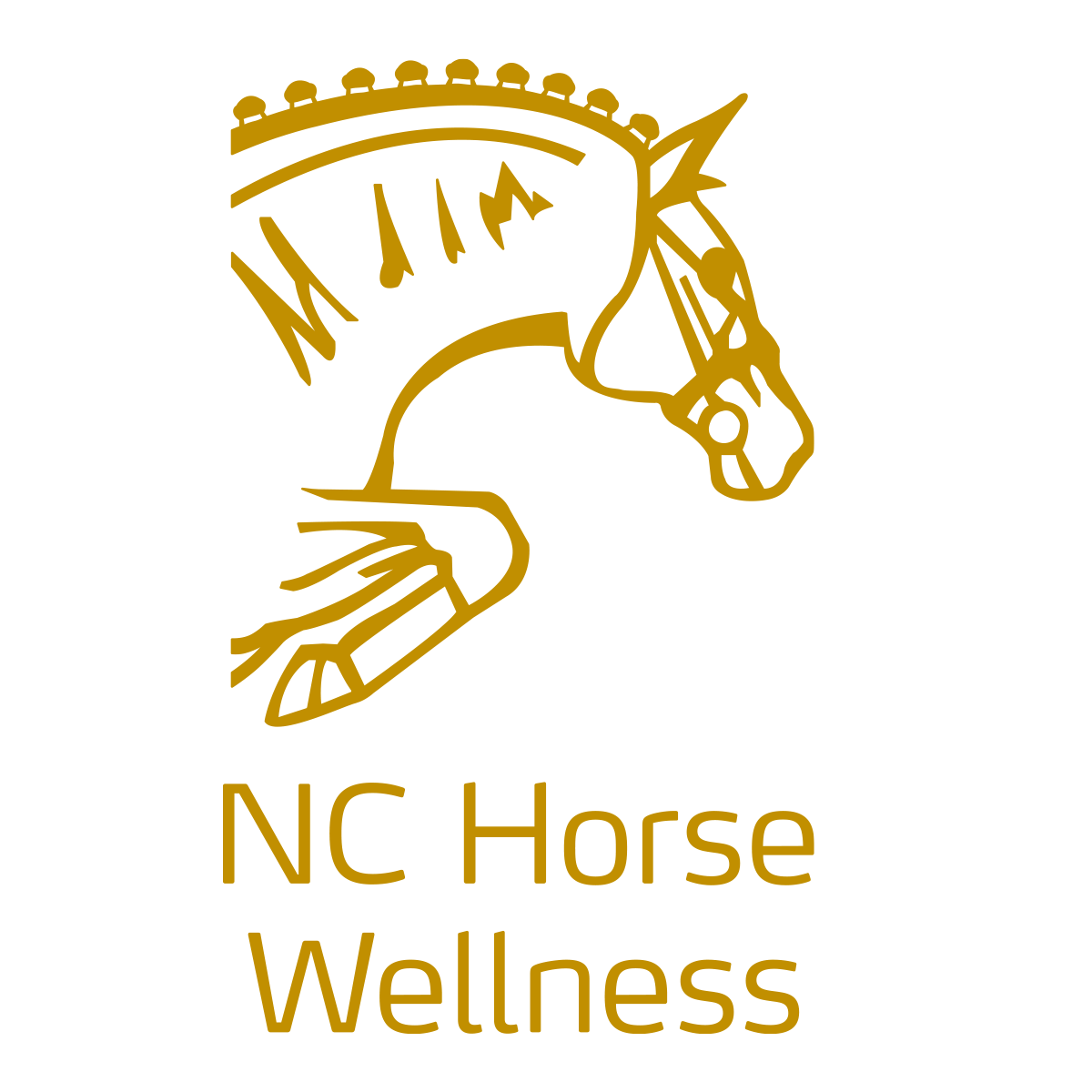 NC Horse Wellness